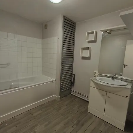 Le Cosy Auscitain - Coeur Centre Historique Auch